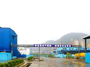 企業風貌
